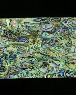 NACRE PAUA (ABALONE) RECONSTITUEE 120x70x1mm