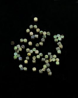 GREEN ABALONE 2mm (50PCS)