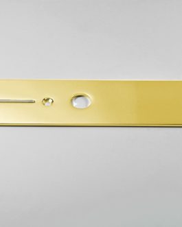 GOTOH® CP-10 CONTROL PLATE FOR TELE® 9.6mm POT HOLES WITH SCREWS GOLD