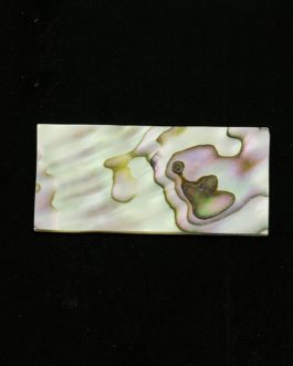 GREEN ABALONE 40x20x1mm (1PCE)