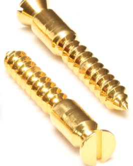 FLOYD ROSE ORIGINAL BRIDGE MOUNTING WOOD SCREWS GOLD (2 PCS)