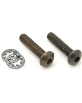 FLOYD ROSE ORIGINAL NUT REAR MOUNTING SCREWS (2 PCS)