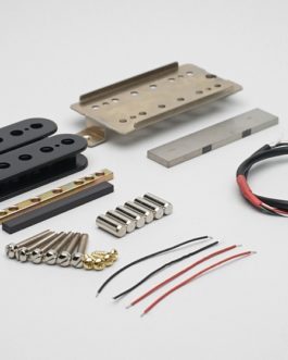 HUMBUCKING PICKUP ASSEMBLY KIT (52.8 mm POLE SPACING)