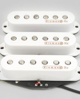 Micros Kinman – Custom Shop