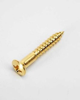 GOTOH END PIN SCREW GOLD (20)