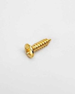 PICKGUARD SCREWS FENDER® STYLE GOLD (BULK PACK 100PCS)