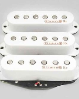 Micros Kinman – Custom Shop