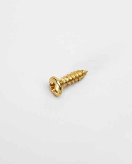 SCREWS FOR PICKGUARD GIBSON® STYLE GOLD (100pcs)