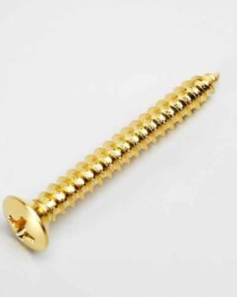 VIS MANCHE/NECK SCREW SHORT GOLD (4)