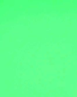 TEINTE FENDER® ORIGINALE 200GR “FOAM GREEN”