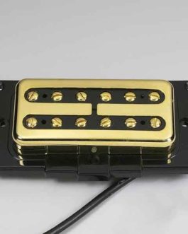 *DUESENBERG “LITTLE TOASTER” MINI HUMBUCKER NECK GOLD