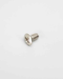 SWITCH METRIC NICKEL SCREW (4)