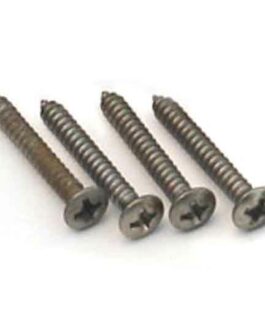 BRIDGE MOUNTING SCREW AGED (4)